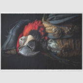 ヴィンテージ 鳥 インコ 海賊 家具 デコパージュ 薄葉紙 (正面)