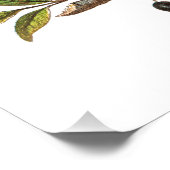 ヴィンテージ(鳥)ショウジョウコウカンチョウソングバードイラストレーション – 女性 フォトプリント (角)