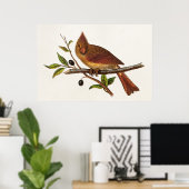 ヴィンテージ(鳥)ショウジョウコウカンチョウソングバードイラストレーション – 女性 ポスター (ホームオフィス)