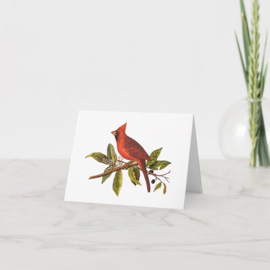ヴィンテージ(鳥)ショウジョウコウカンチョウソングバードイラストレーション- 1800s カード (正面)