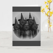 ヴィンテージ 黒猫/魔女 カード (黄色い花)