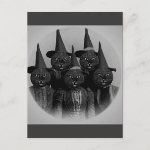 ヴィンテージ 黒猫/魔女 ポストカード