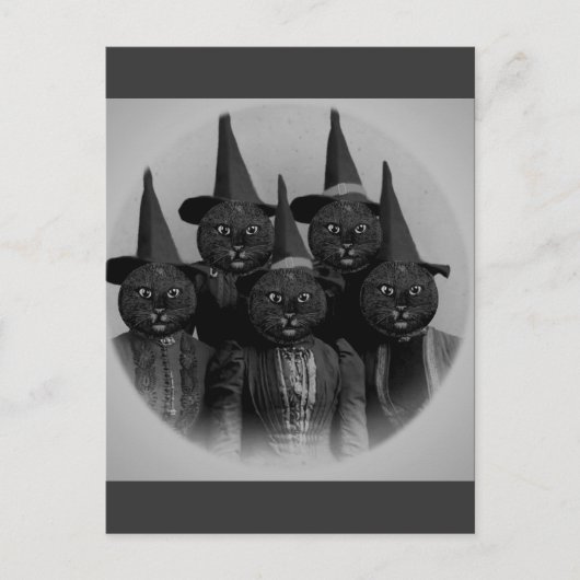 ヴィンテージ 黒猫/魔女 ポストカード (正面)