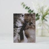 ヴィンテージ, 1890, Trummelbach秋, Lauterbrunnen ポストカード (スタンド正面)