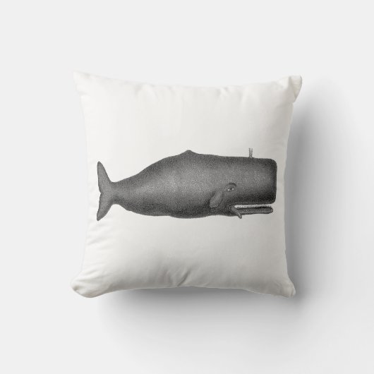 ヴィンテージ 19世紀のクジラの絵 N クッション (正面)