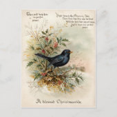 ヴィンテージ 1908 ブラックバード クリスマス ホリデー アート ポストカード (正面)