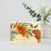 ヴィンテージ, 1910,カリフォルニアからの挨拶 ポストカード (スタンド正面)