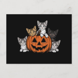 ヴィンテージ 90年代 猫 ハロウィン レトロ スプーキー シーズン ポストカード
