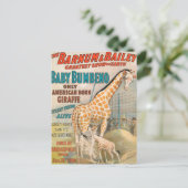 ヴィンテージ: circus barnum & Bailey - ポストカード (スタンド正面)