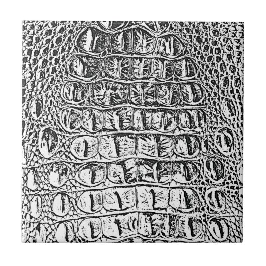 ヴィンテージ"HORNBACK"のわに革黒い及び白 タイル (正面)