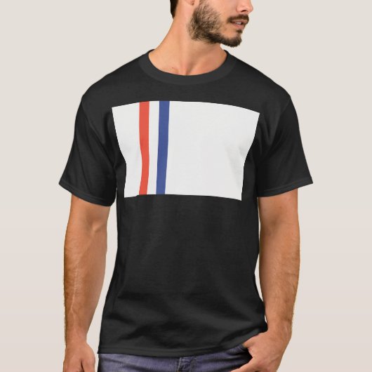 ヴィンテージ Tシャツ (正面)