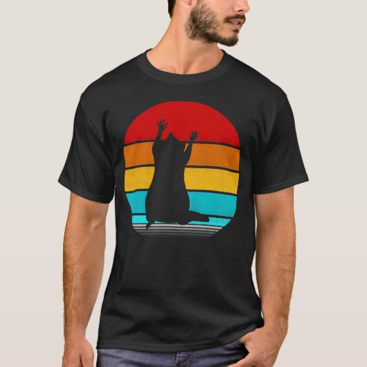 ヴィンテージ Tシャツ (正面)
