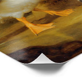 ヴィンテージAマカオダックスのパロットと他の鳥 ポスター (コーナー)