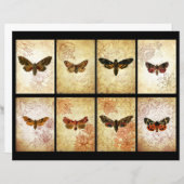 ヴィンテージATCスクラップブックカード (正面/裏面)