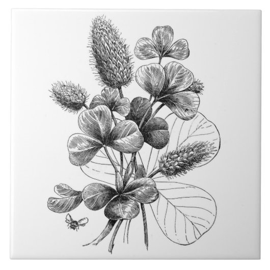 ヴィンテージB&Wのクローバーの花束 タイル (正面)
