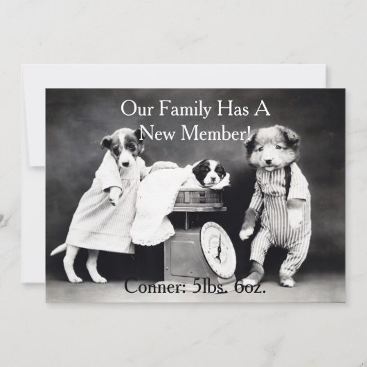 ヴィンテージB&Wは新しい子犬の発表の後をつけます 案内状 (正面)