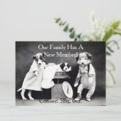 ヴィンテージB&Wは新しい子犬の発表の後をつけます 案内状 (スタンド正面)