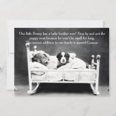 ヴィンテージB&Wは新しい子犬の発表の後をつけます 案内状 (裏面)