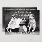 ヴィンテージB&Wは新しい子犬の発表の後をつけます 案内状 (正面/裏面)