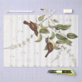 ヴィンテージBird Music Notesの切り離し 薄葉紙 (クラフト)