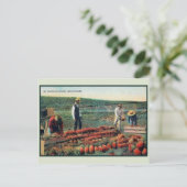 ヴィンテージc 1900パイナップルプランテーションハワイ ポストカード (スタンド正面)