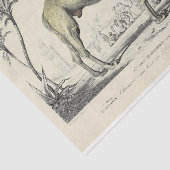 ヴィンテージCamel Ephemera Decompageスクリプフランスのト 薄葉紙 (詳細)