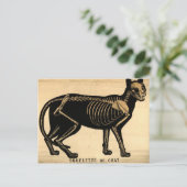 ヴィンテージCatスケルトン ポストカード (スタンド正面)