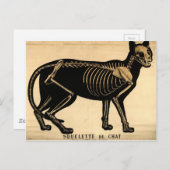 ヴィンテージCatスケルトン ポストカード (正面/裏面)