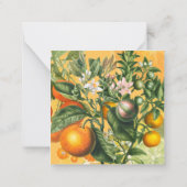 ヴィンテージCitrus保存の日付 ノートカード (裏面)