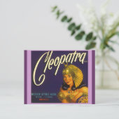 ヴィンテージCleopatra生成Crateラベル付けポストカード ポストカード (スタンド正面)