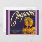 ヴィンテージCleopatra生成Crateラベル付けポストカード ポストカード (正面/裏面)