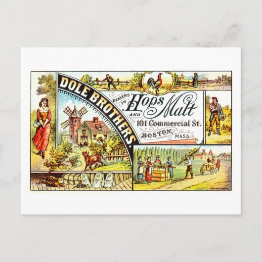 ヴィンテージDole Brosの広告ホップ&モルト ポストカード (正面)