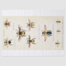 ヴィンテージEphemeraスクリプトbeeデクページ