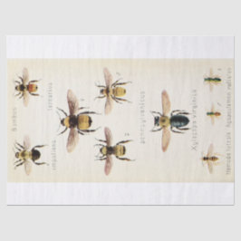 ヴィンテージEphemeraスクリプトbeeデクページ 薄葉紙