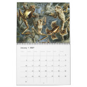 ヴィンテージErnst Haeckel、生物学、ボタニー、科学 カレンダー (1月 2027)