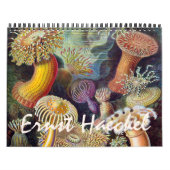 ヴィンテージErnst Haeckel、生物学、ボタニー、科学 カレンダー (カバー)