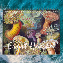 ヴィンテージErnst Haeckel、生物学、ボタニー、科学