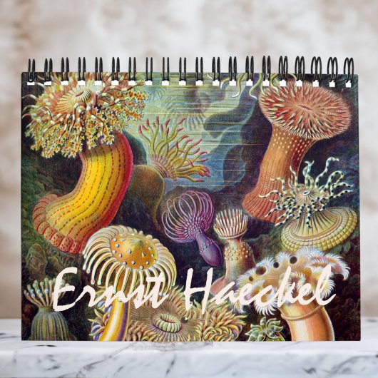 ヴィンテージErnst Haeckel、生物学、ボタニー、科学 カレンダー