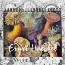 ヴィンテージErnst Haeckel、生物学、ボタニー、科学
