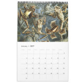 ヴィンテージErnst Haeckel、生物学、ボタニー、科学 カレンダー (1月 2027)
