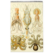 ヴィンテージErnst Haeckel、Biology、Botany、Science Ca カレンダー (カバー)