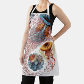 ヴィンテージErnst Haeckel, Discomedusae エプロン (インサイチュ)