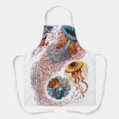 ヴィンテージErnst Haeckel, Discomedusae エプロン (正面)