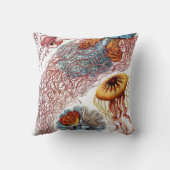 ヴィンテージErnst Haeckel, Discomedusae クッション (裏面)