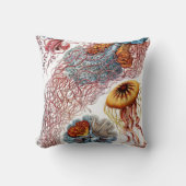 ヴィンテージErnst Haeckel, Discomedusae クッション (正面)