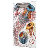 ヴィンテージErnst Haeckel, Discomedusae クリップボード (左)