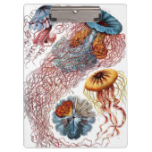 ヴィンテージErnst Haeckel, Discomedusae クリップボード (正面)