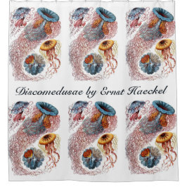 ヴィンテージErnst Haeckel, Discomedusae シャワーカーテン