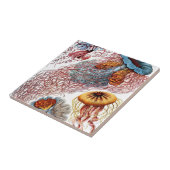 ヴィンテージErnst Haeckel, Discomedusae タイル (側面)