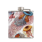 ヴィンテージErnst Haeckel, Discomedusae フラスク (裏面)